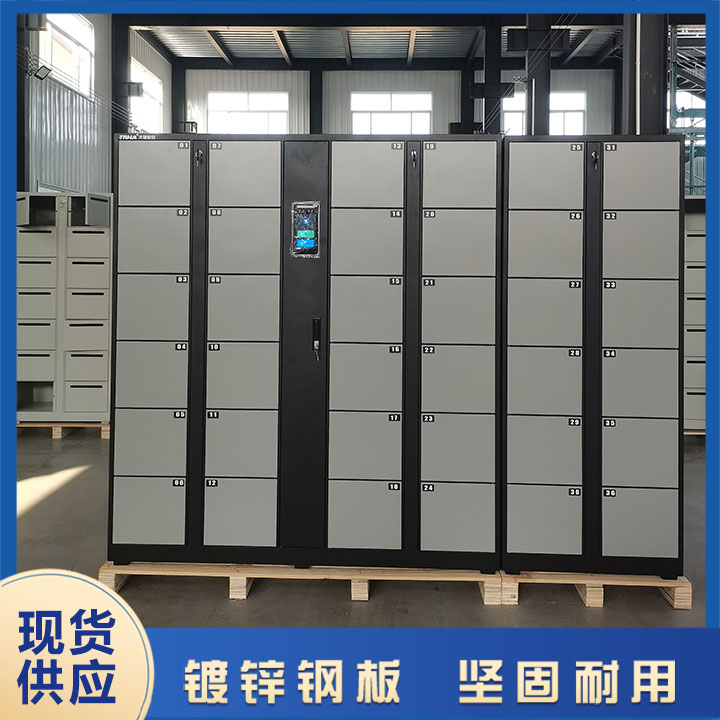 智能儲(chǔ)物柜遇到問題要怎么解決?【天瑞恒安】