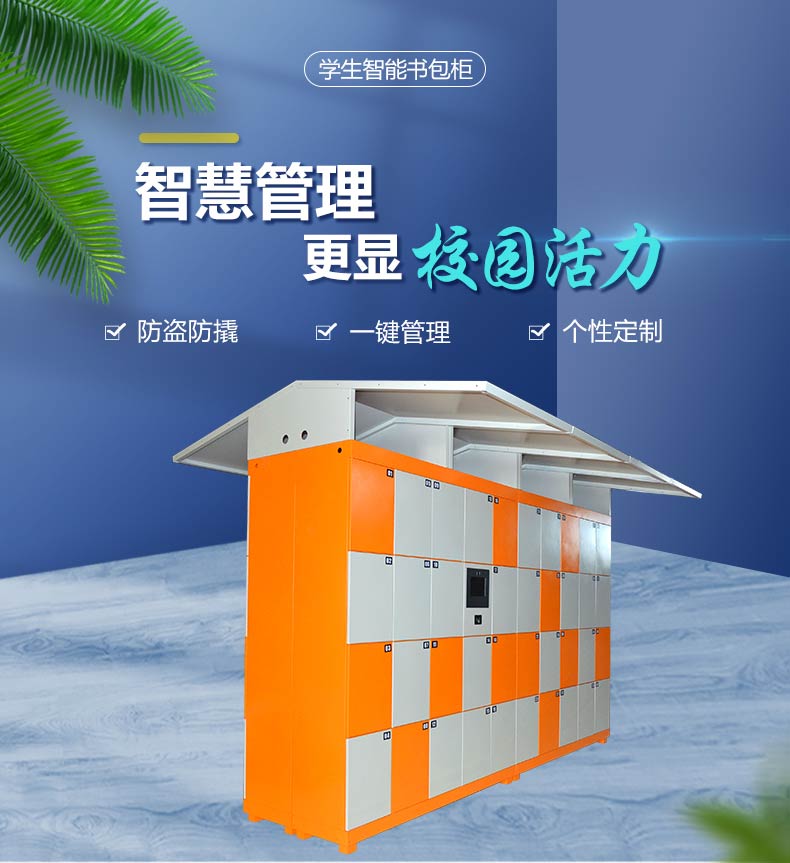 學(xué)校智能存包柜